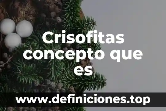 Crisofitas concepto que es
