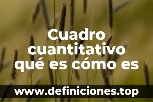 Cuadro cuantitativo qué es cómo es