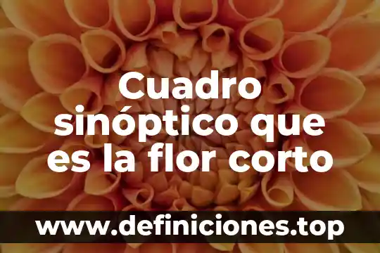 Cuadro sinóptico que es la flor corto