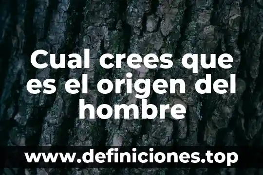 Que es el origen publico economico 3 Cual crees que es el origen del hombre