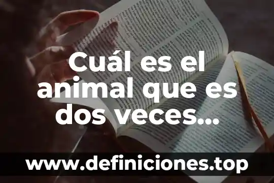 Qué es el útero y cuál es su función 3 Cuál es el animal que es dos veces animal acertijo