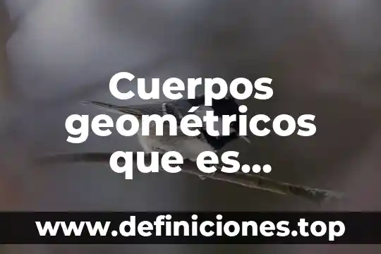 Qué es la masa de los cuerpos geométricos 8 Cuerpos geométricos que es cilindros