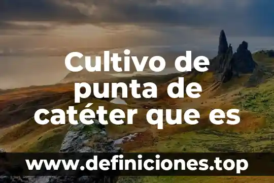 Qué es un proceso referente a la construcción 5 Cultivo de punta de catéter que es