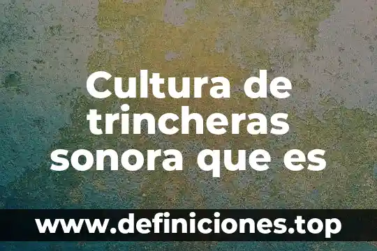Que es la cultura nazi 4 Cultura de trincheras sonora que es