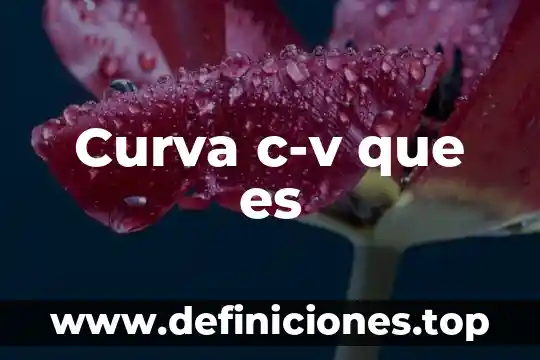 Que es la empresa munhais s.a de c.v 4 Curva c-v que es
