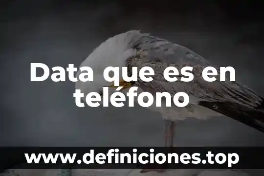 Que es el software get data black 6 Data que es en teléfono