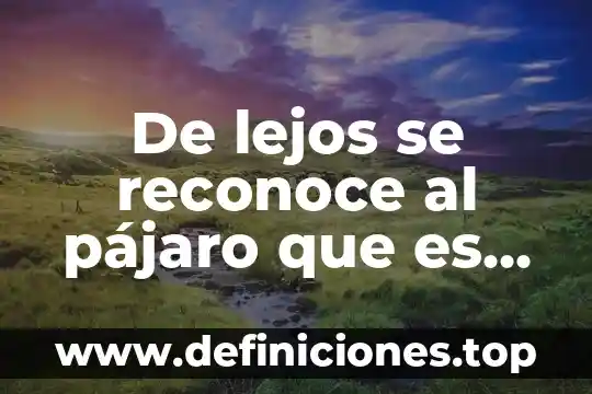 De lejos se reconoce al pájaro que es canario significado
