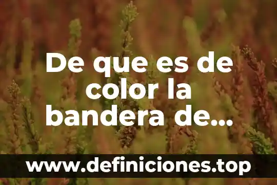 De que es de color la bandera de Estados Unidos
