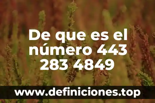 De que es el número 443 283 4849