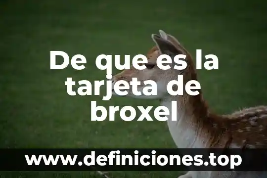 Tarjeta premia Banamex que es 6 De que es la tarjeta de broxel