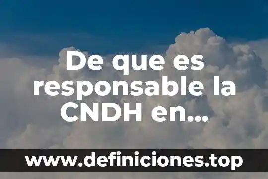 De que es responsable el administrador 4 De que es responsable la CNDH en México