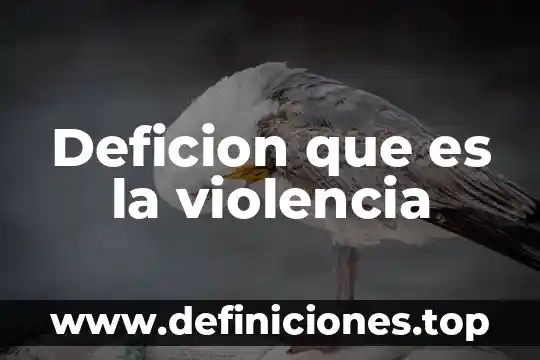 Violencia ludica que es 3 Deficion que es la violencia