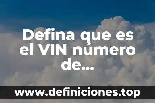 Defina que es el VIN número de identificación vehicular