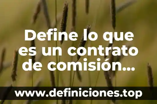 Según qué autor define lo que es un modelo económico 5 Define lo que es un contrato de comisión mercantil mexico