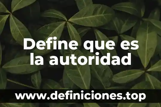 Que es visme y para que sirve 6 Define que es la autoridad