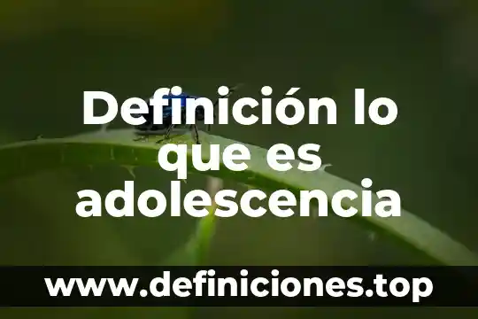 Qué es un capacitor definición 8 Definición lo que es adolescencia