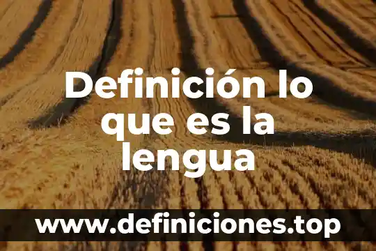 Definición lo que es la lengua