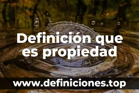 Definición que es propiedad