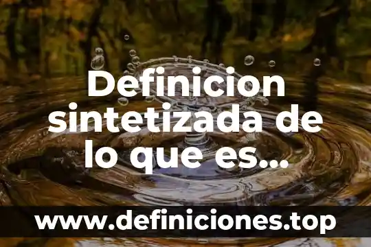 Definicion sintetizada de lo que es estado