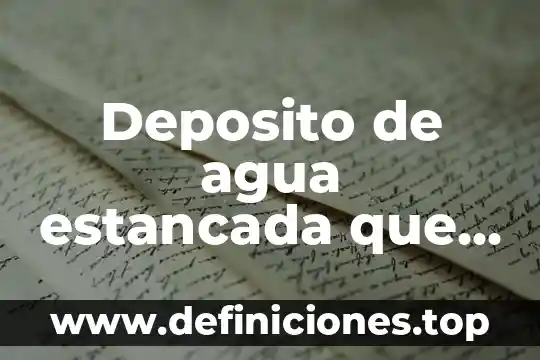 Deposito de agua estancada que es