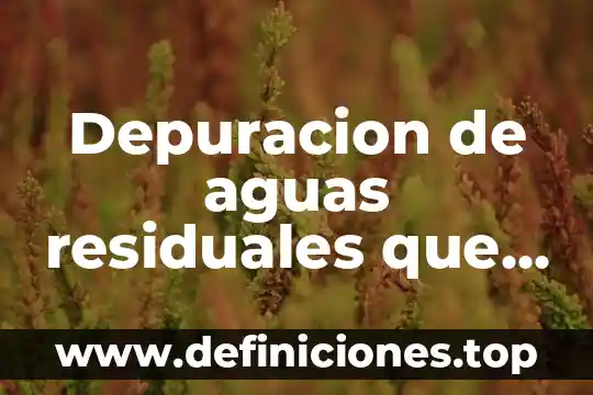 Depuracion de aguas residuales que es
