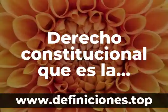 Que es accion constitucional 3 Derecho constitucional que es la constitucion