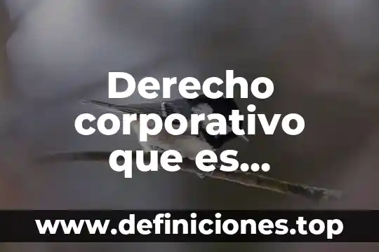Derecho corporativo que es negociacion