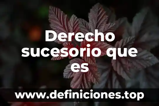 Que es un juicio sucesorio en mexico 6 Derecho sucesorio que es