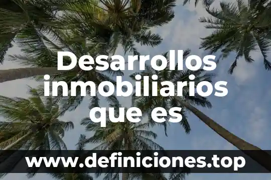 Desarrollos inmobiliarios que es