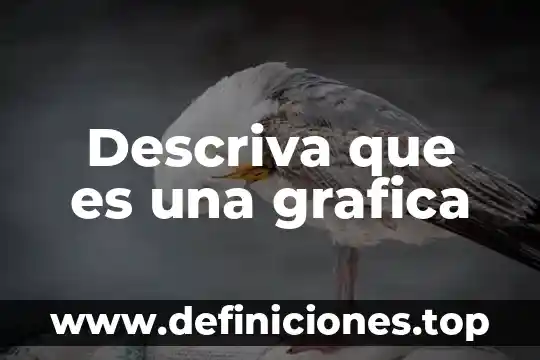 Que es un gráfico o gráfica en excel 8 Descriva que es una grafica