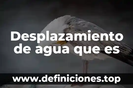 Desplazamiento de agua que es