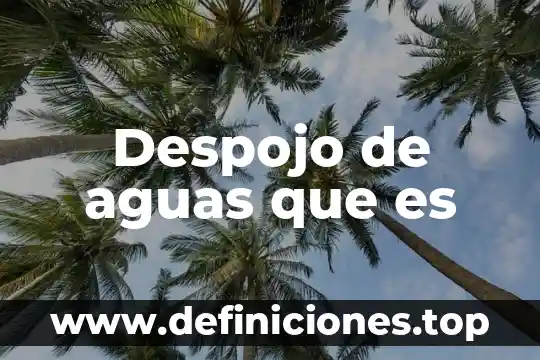 Aguas micelares que es 4 Despojo de aguas que es