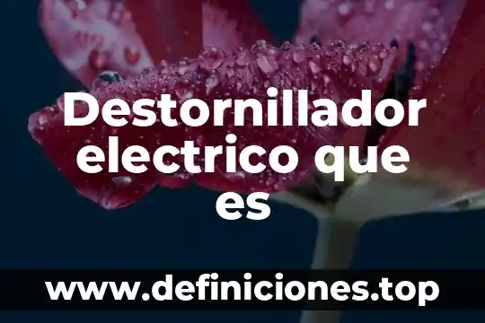 Potencial electrico que es fisca 8 Destornillador electrico que es