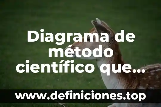 Diagrama de método científico que es