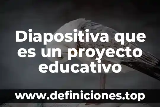 Que es una animaci贸n de diapositiva 6 Diapositiva que es un proyecto educativo