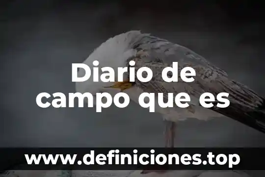 Campo gravitacional que es 3 Diario de campo que es