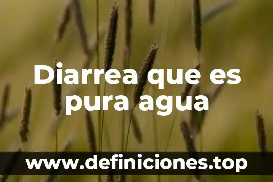 Diarrea que es pura agua