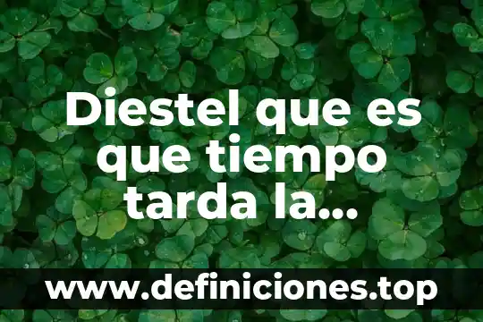 Que es tiempo de recuperacion economica 3 Diestel que es que tiempo tarda la transferencia