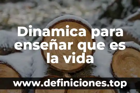 Dinamica para enseñar que es la vida
