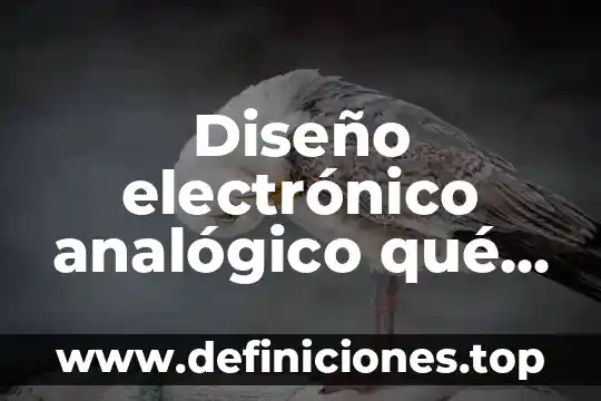 Para que es el comercio electronico 3 Diseño electrónico analógico qué es