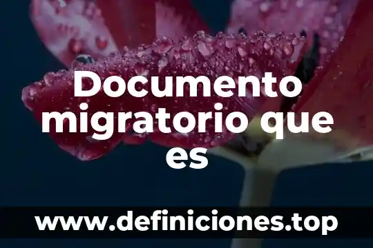 Qué es el derecho migratorio en México 2019 3 Documento migratorio que es