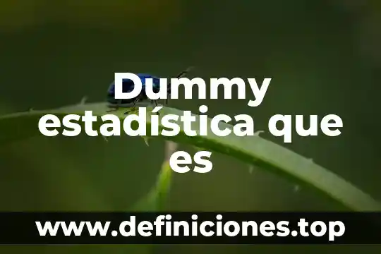 Dummy estadística que es