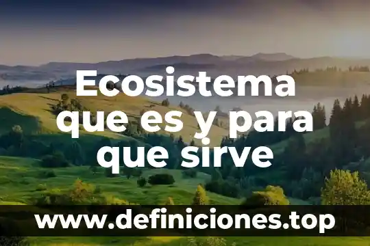 Qué es un ecosistema y los tipos de ecosistemas 8 Ecosistema que es y para que sirve