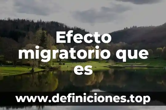 Documento migratorio que es 4 Efecto migratorio que es