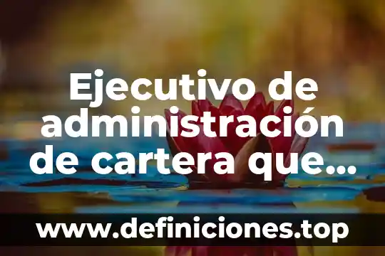 Que es un ejecutivo cuenta gobierno 5 Ejecutivo de administración de cartera que es