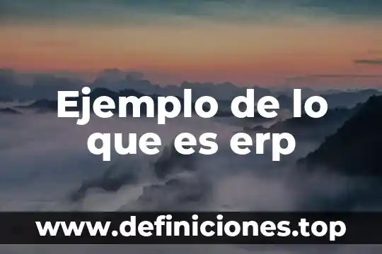 Que es un cadaver exquisito ejemplo 6 Ejemplo de lo que es erp