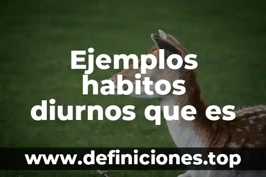 Ejemplos habitos diurnos que es