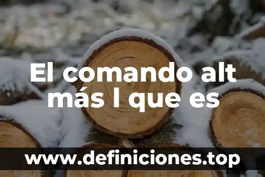 El comando alt más l que es
