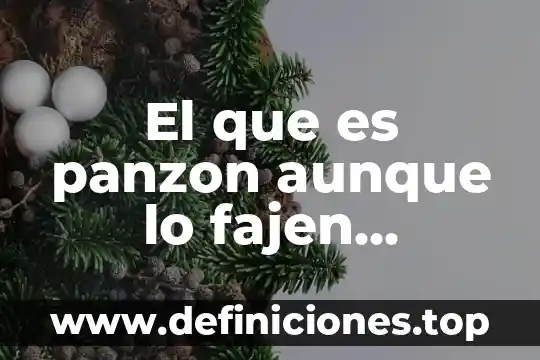Que es segmento y su significado 3 El que es panzon aunque lo fajen significado