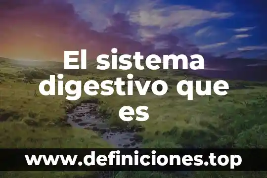 Que es la composicion de un sistema endocrino 7 El sistema digestivo que es